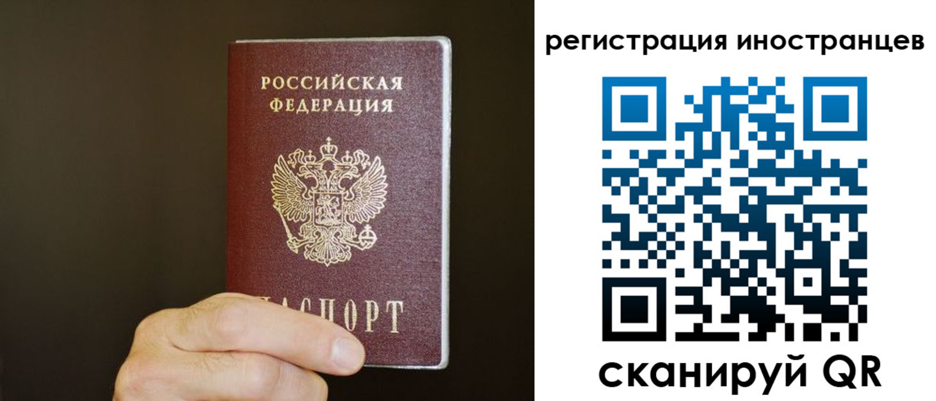 прописка в Нововоронеже